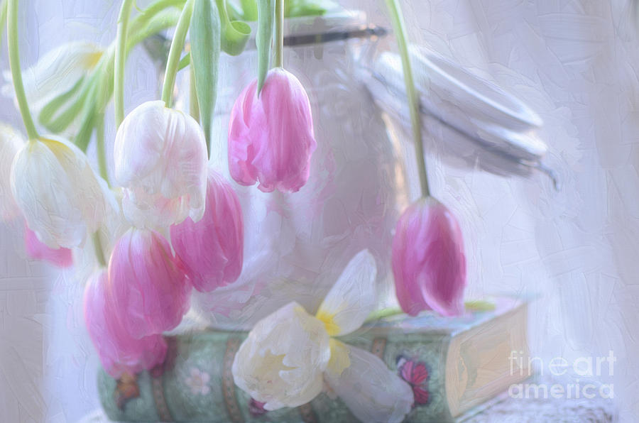 Tulip Photograph - Pink And White Tulips by Darla Rae Norwood