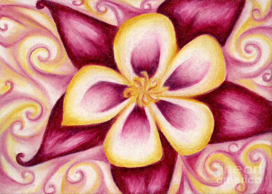 Pink and Yellow Columbine Flower Drawing Drawing by Kristin Aquariann