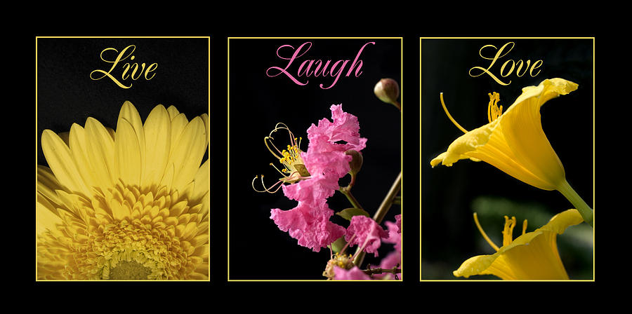 Yellow Photograph - Pink and Yellow Flowers by Jessica Wakefield Yellow Photograph - Pink and Yellow Flowers by Jessica Wakefield