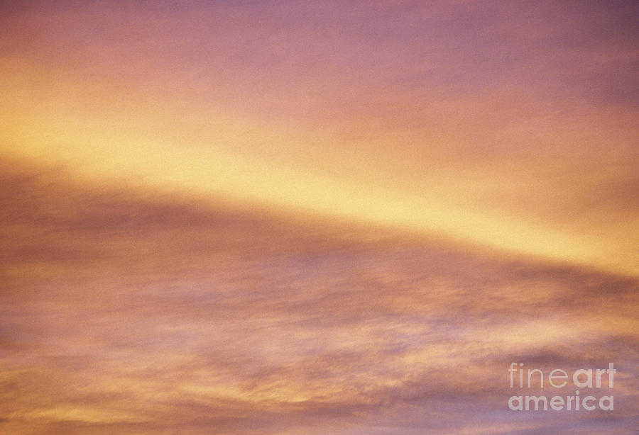 Pink and Yellow Sky Photograph by Carl Shaneff - Printscapes