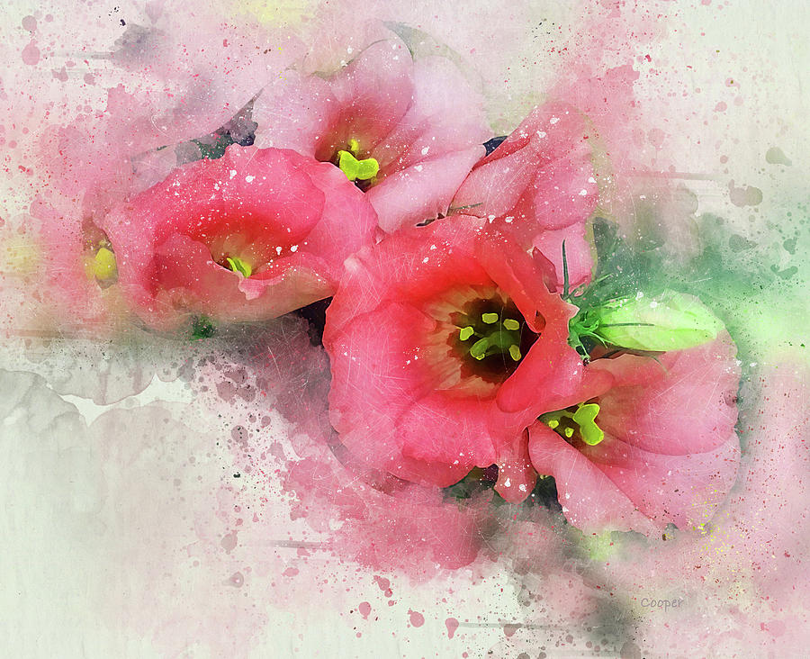 Pink Babies A Digital Art by Peggy Cooper-Hendon