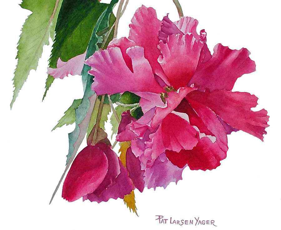 Flower Painting - Pink Begonia by Pat Yager