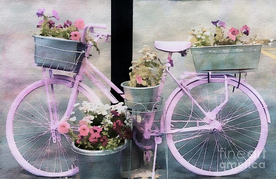 Pink Bicycle And Flowers Photograph