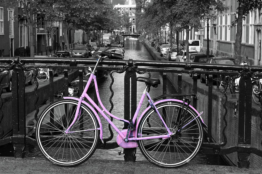 Pink Bicycle By The Canal Photograph by Aidan Moran