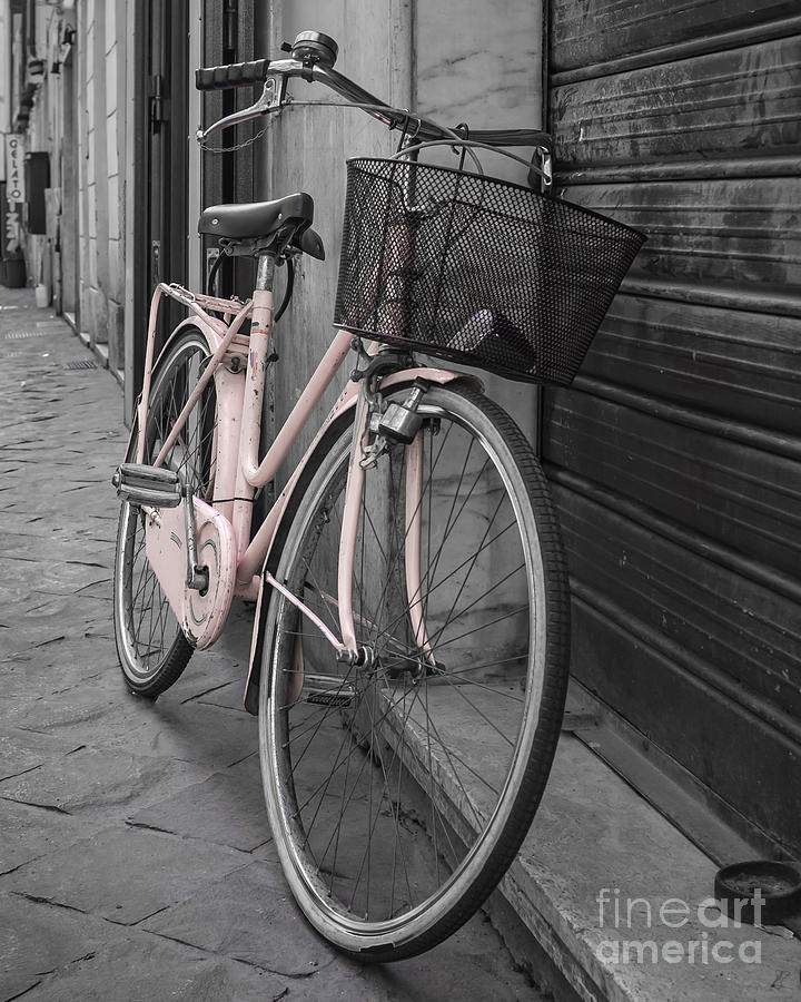 Pink Bicycle in Rome Photograph by Edward Fielding