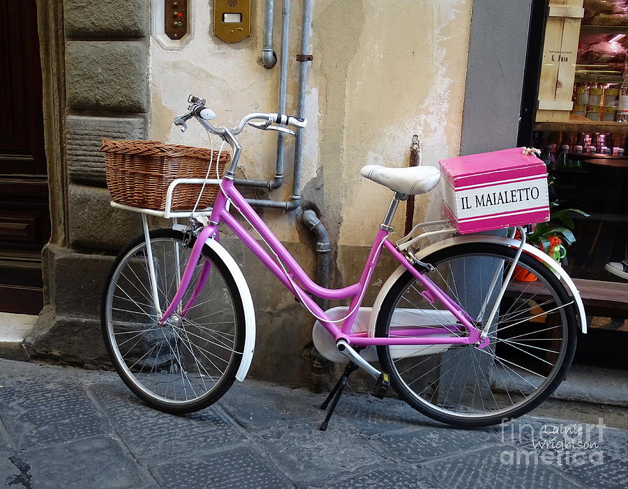 Pink Bicycle Photograph by Lainie Wrightson