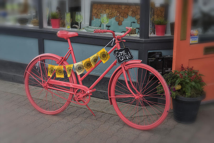 Pink Bicycle Leadville Colorado DSC06600 Photograph by Greg Kluempers