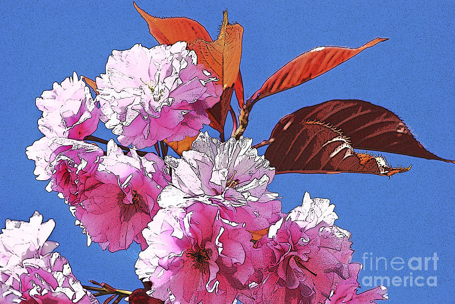 Pink Blossom Digital Art by Wendy Wilton