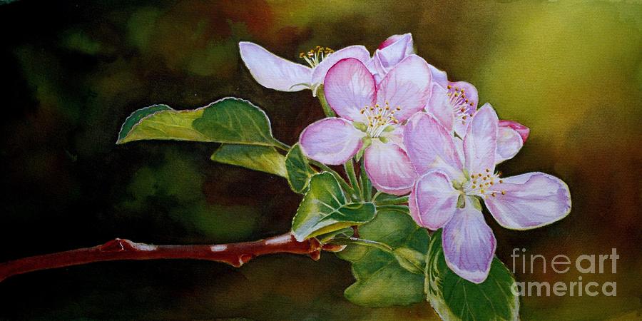 Pink Blossoms Painting by Greg and Linda Halom