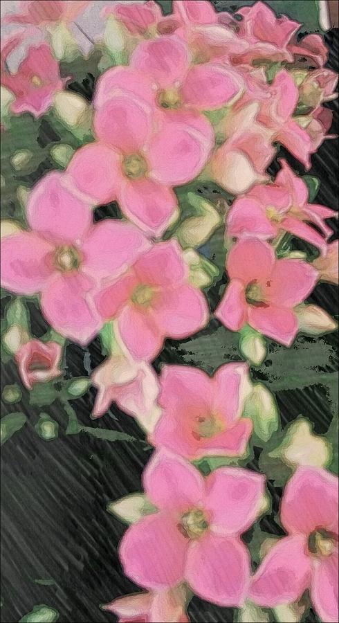 Pink Bouquet Photograph