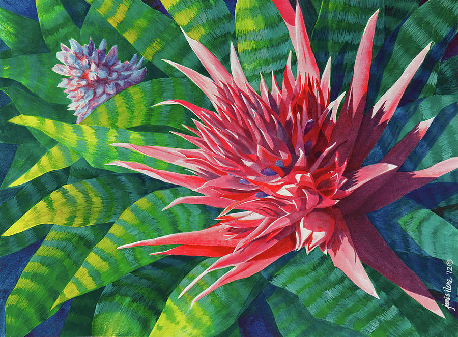 Summer Painting - Pink Bromeliad with Pup by Janis Grau