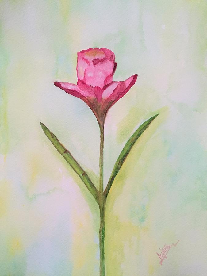 Pink Bud Painting By Anjana Thapa Paudel - Fine Art America