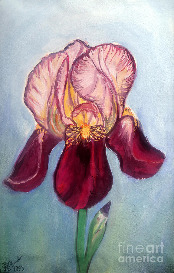 Iris Painting - Pink burgundu iris flower by Sofia Goldberg