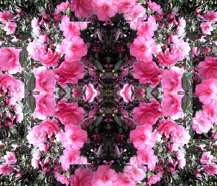 Pink Bush Flower Composite Photograph by Julia Woodman