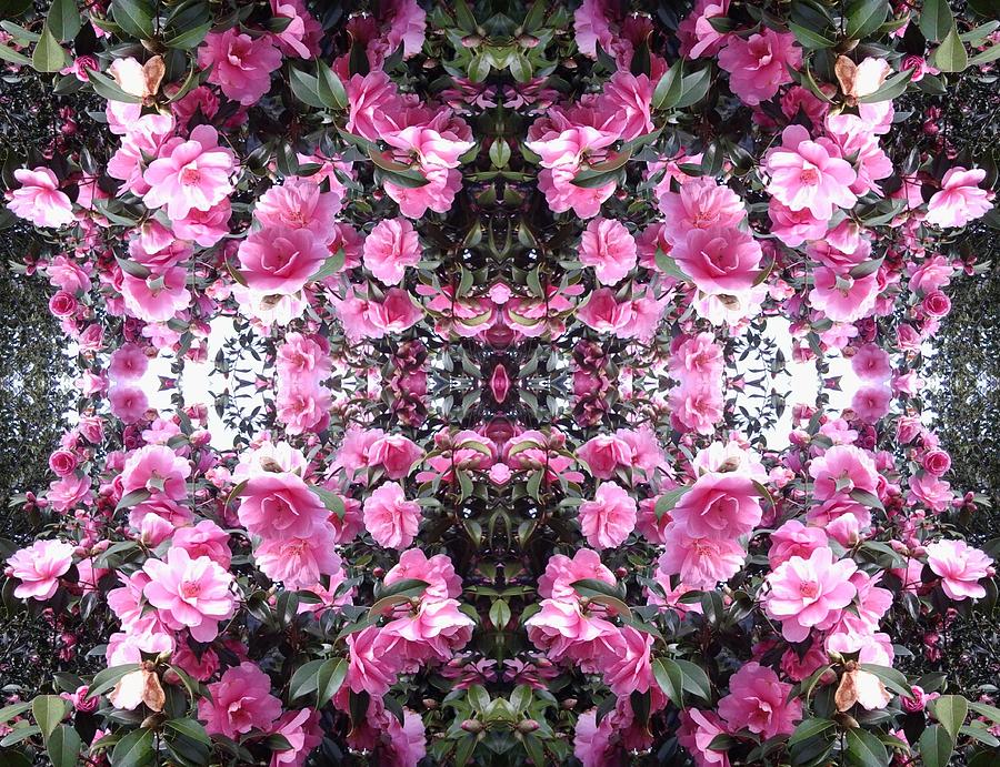 Pink Bush Flower Mandala 1 Photograph by Julia Woodman