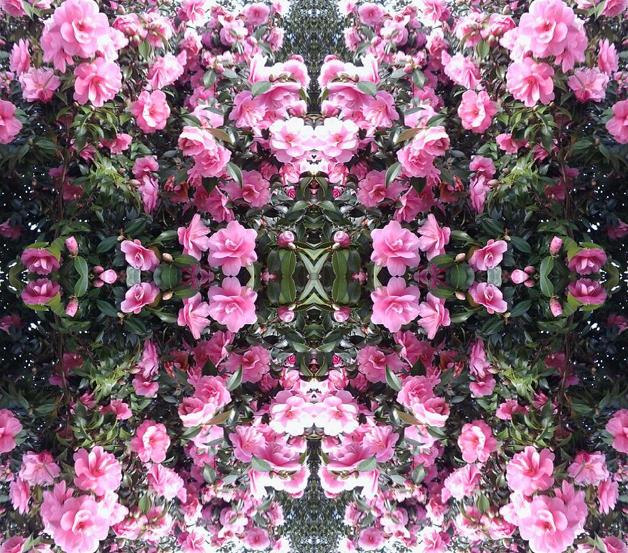 Pink Bush Flower Mandala 2 Photograph by Julia Woodman