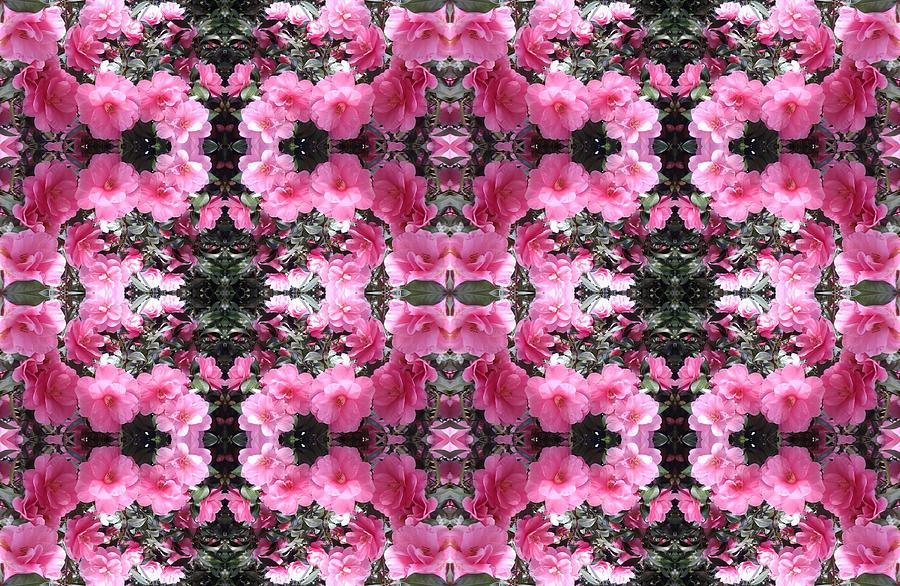 Pink Bush Flower Multi Photo Design Photograph by Julia Woodman