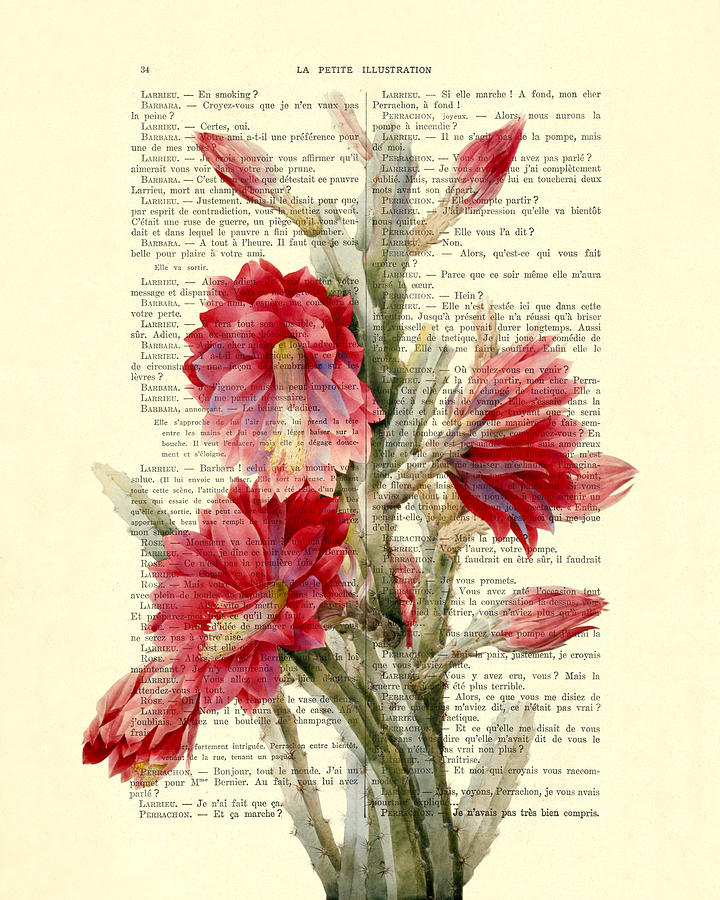 Flower Digital Art - Cactus With Pink Red Flowers Vintage Book Page Collage by Madame Memento