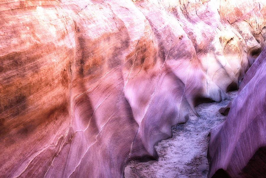 Pink Canyon Dream Valley Of Fire State Park Photograph by Joseph S Giacalone