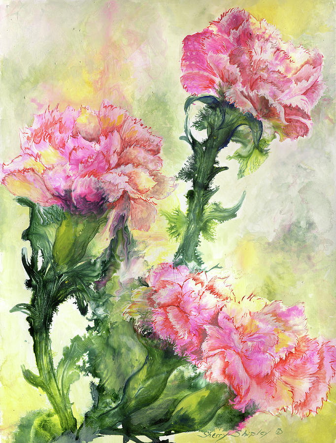 Pink Carnations Painting by Sherry Shipley