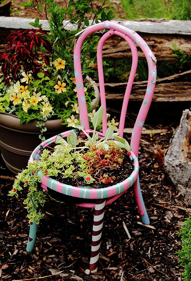 Pink Chair Planter Photograph by Allen Nice-Webb