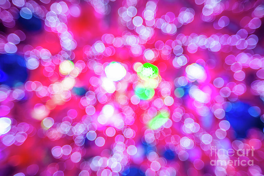 Pink christmas lights Photograph by Benny Marty