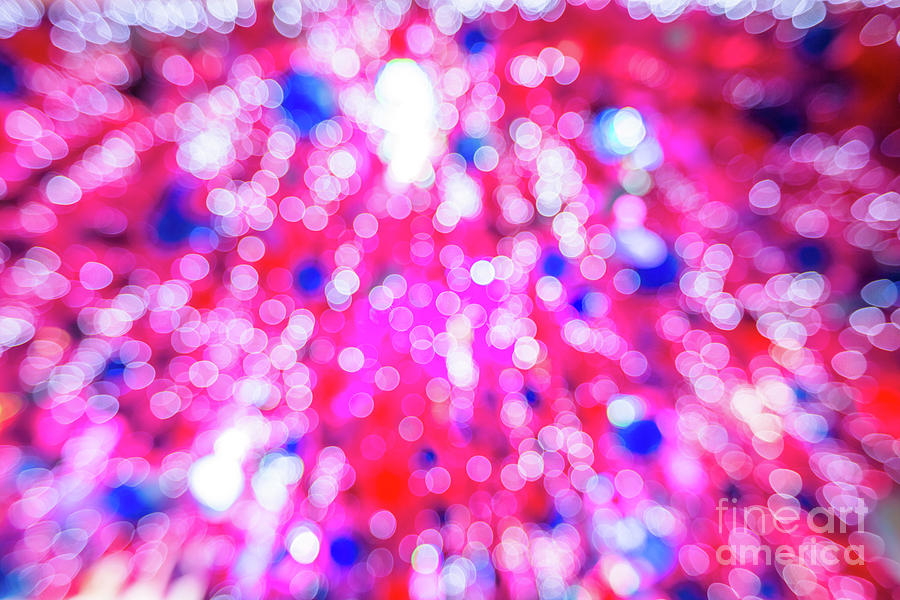 Pink christmas tree Photograph by Benny Marty