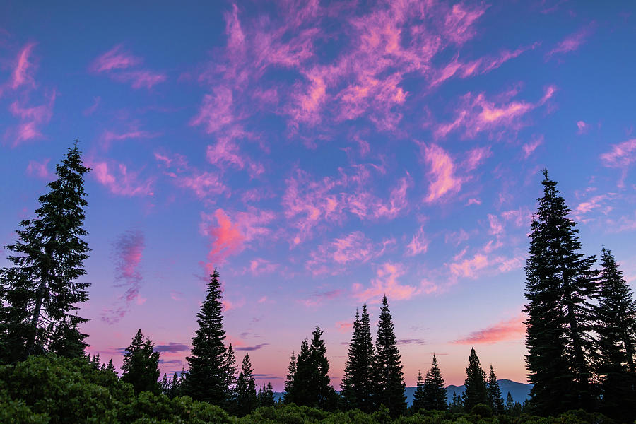 Pink Cloud Sunset Mount Shasta California Photograph by Lawrence S Richardson Jr