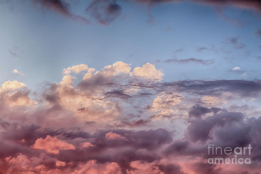 Pink clouds and blue skies at sunset 0154 Photograph by Simon Bratt