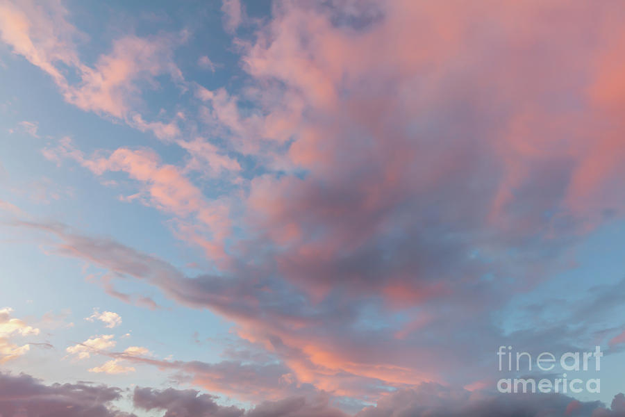 Pink clouds and blue skies at sunset 0162 Photograph by Simon Bratt