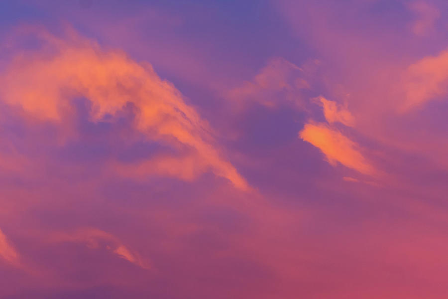 Pink Clouds Photograph by Douglas Killourie