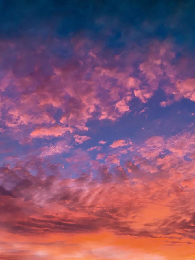 Pink Clouds Photograph by Lisa Pearlman