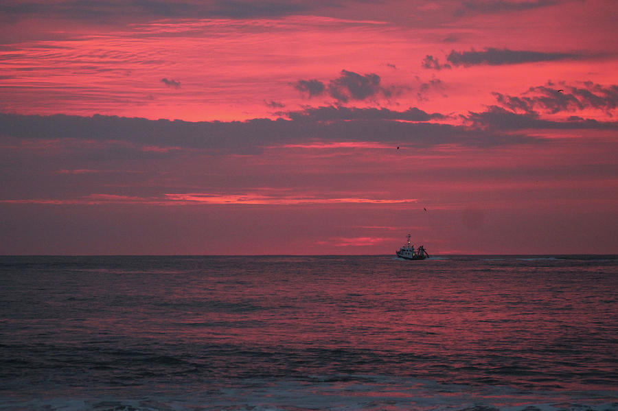 Pink Clouds Of Dawn Photograph by Robert Banach