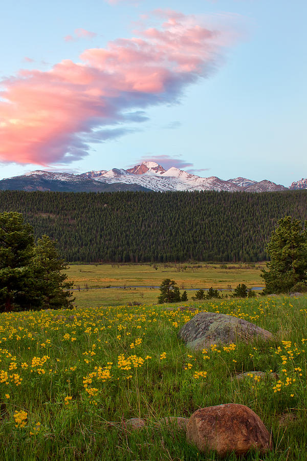 Pink Clouds Over Longs Peak Photograph by Ronda Kimbrow
