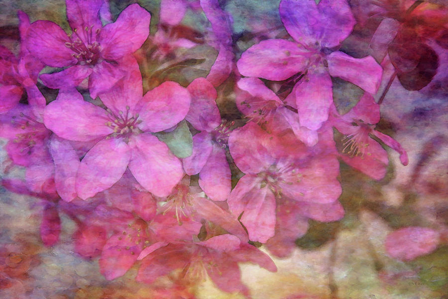 Pink Cluster 9287 IDP_2 Photograph by Steven Ward