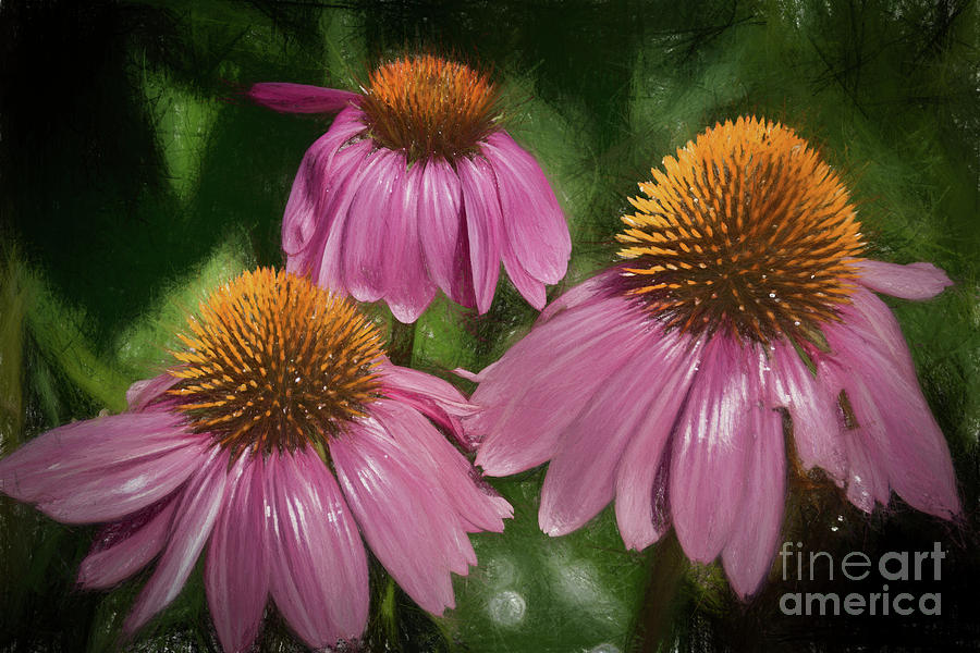 Pink Cone Flowers  Painting by Janice Pariza