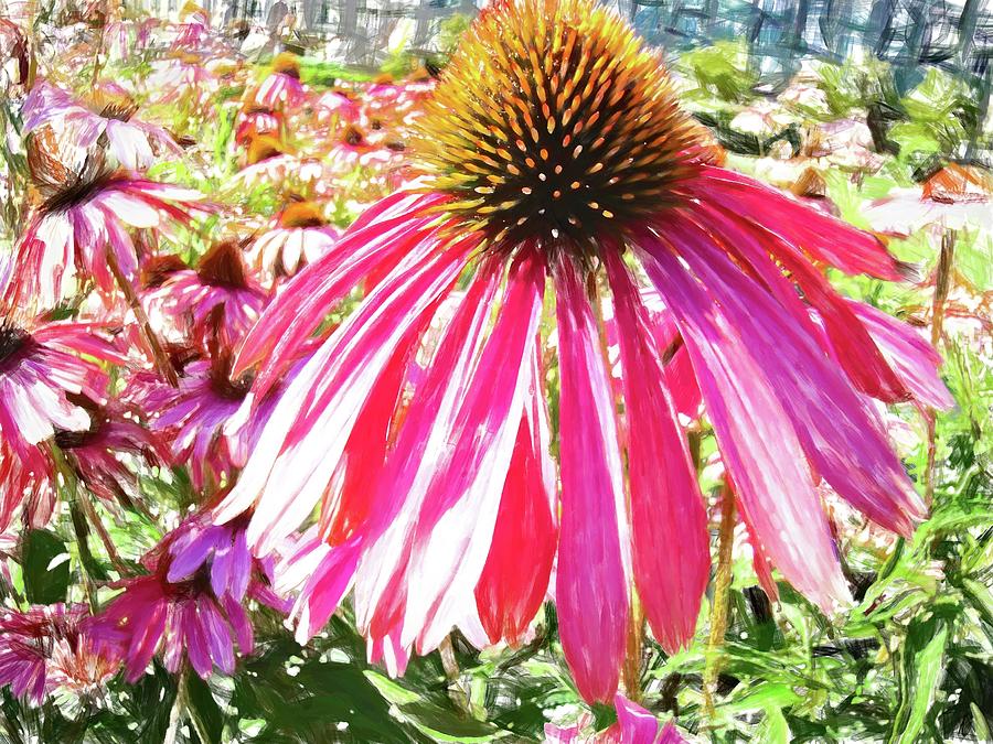 Pink Coneflower Sweet Photograph by Alice Gipson