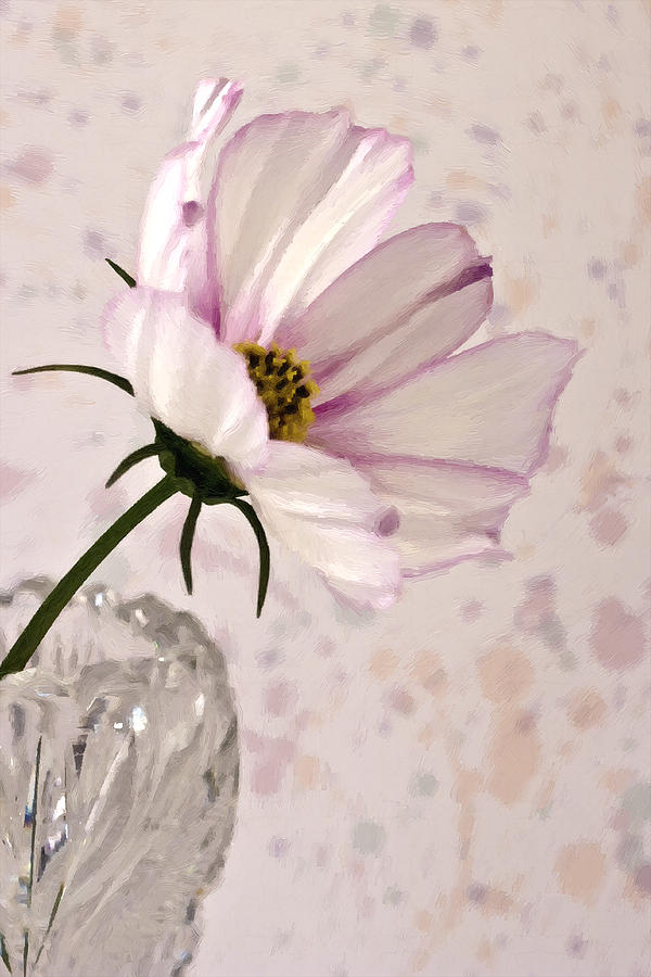 Pink Cosmo - Digital Oil Art Work Photograph by Sandra Foster