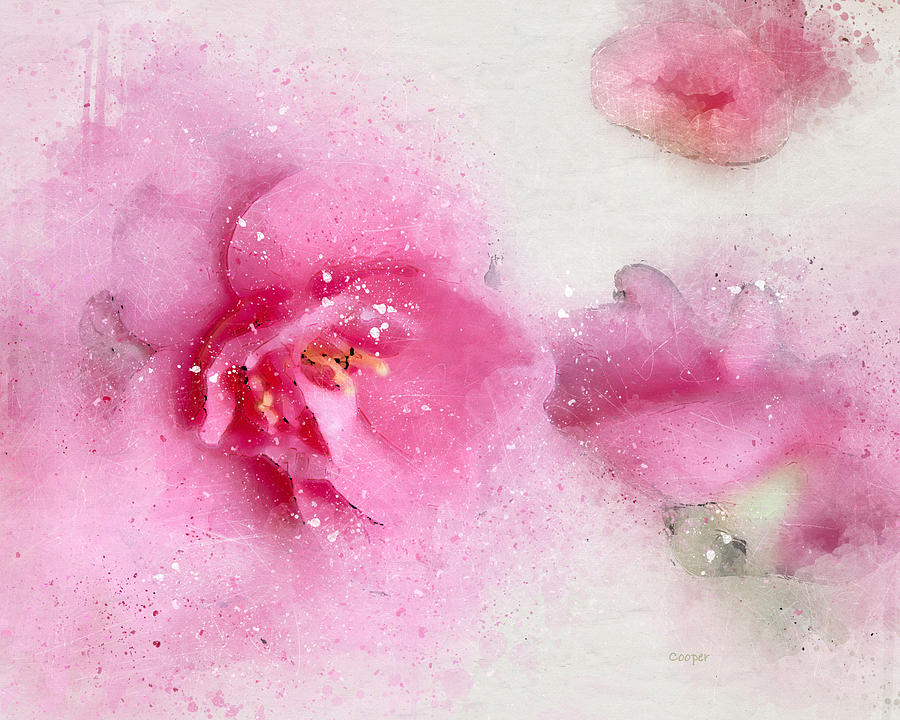 Pink Crystal 2 by Peggy Cooper Pink Crystal 2 by Peggy Cooper