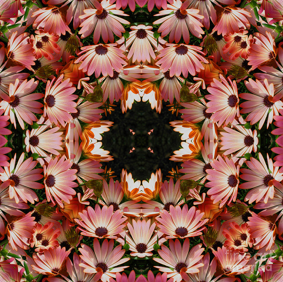 Pink Daisies Kaleidoscope Digital Art by Smilin Eyes Treasures