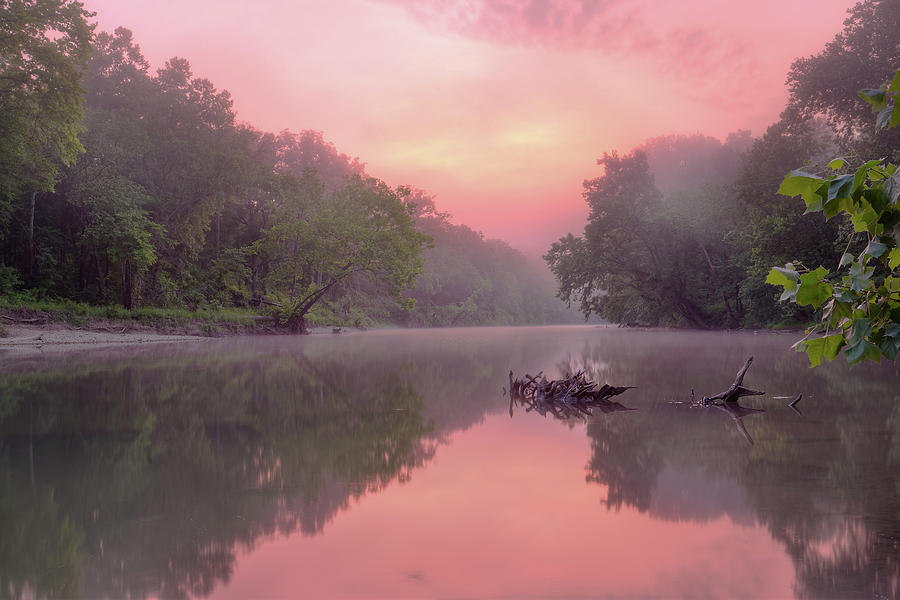 Pink Dawn Photograph by Robert Charity