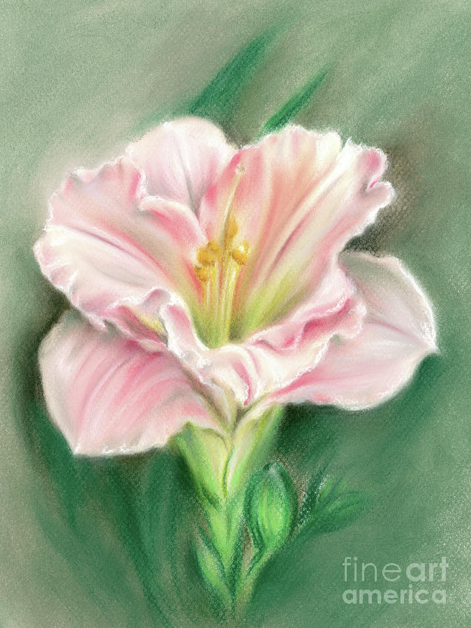 Nature Painting - Pink Daylily and Green Buds by MM Anderson