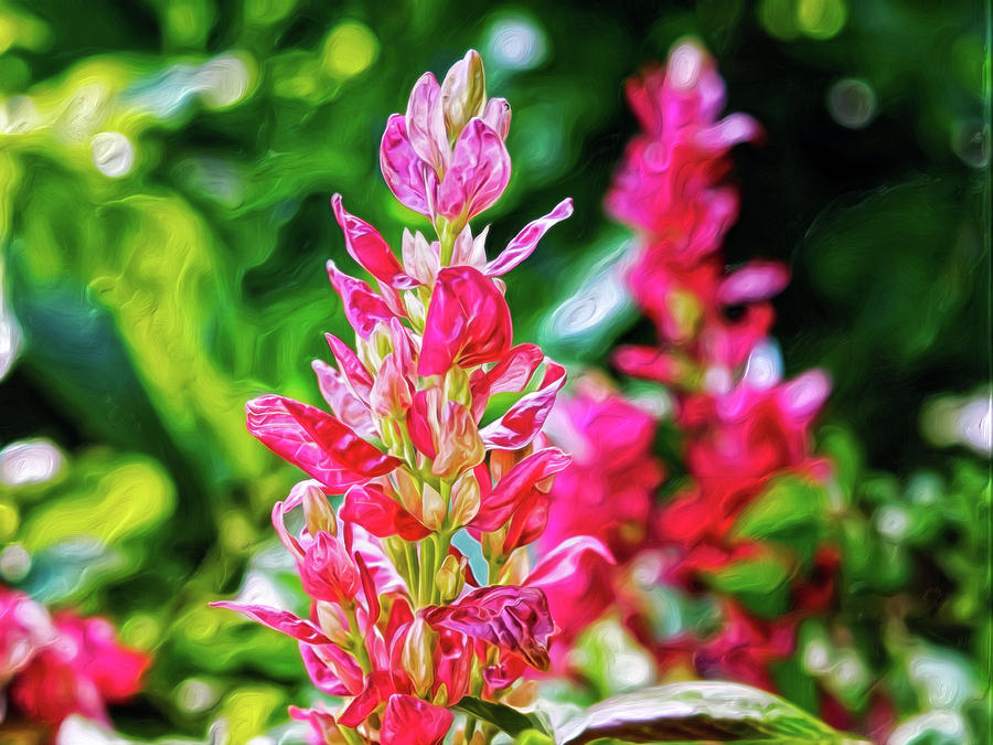 Pink Digital Art by Doctor MEHTA Pink Digital Art by Doctor MEHTA