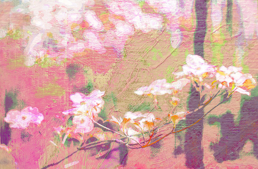 Pink Dogwood Impressionism Photograph by Suzanne Powers