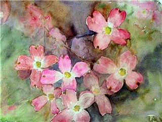 Flower Painting - Pink Dogwood by M Jan Wurst