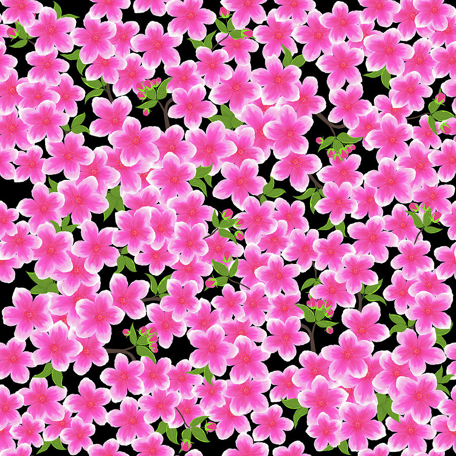 Flower Digital Art - Pink Dogwood On Black by SharaLee Art