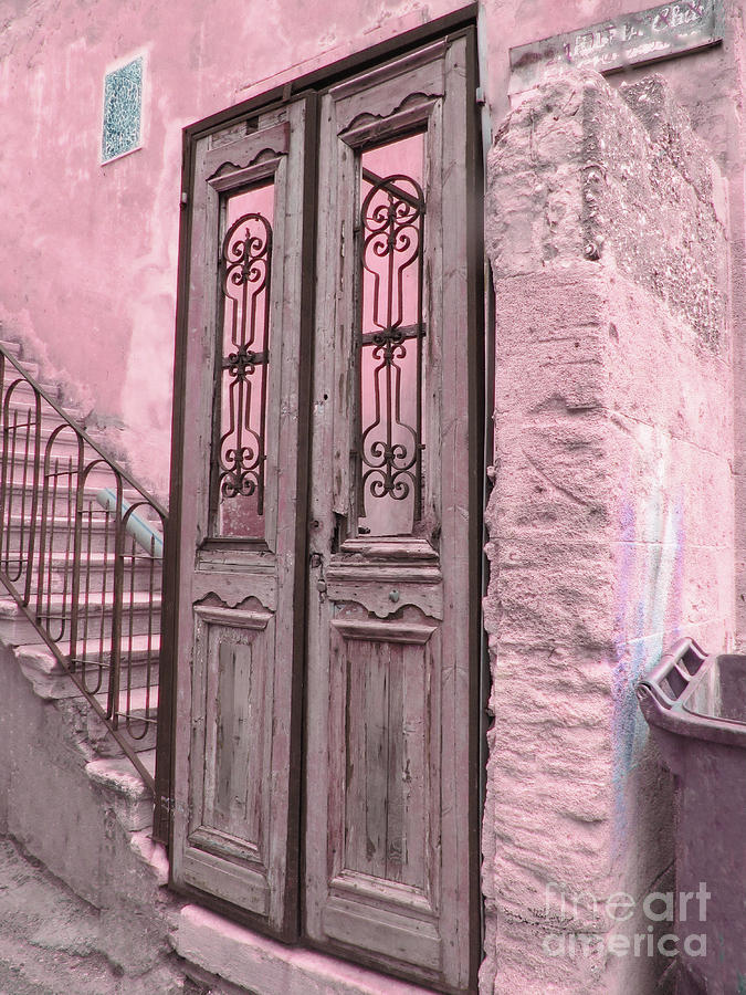 Pink Door Digital Art by Donna L Munro