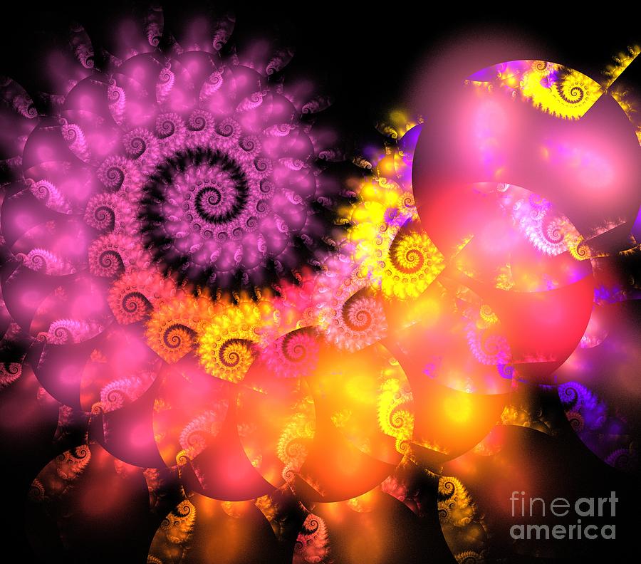 Abstract Digital Art - Pink Dragon Spiral by Kim Sy Ok