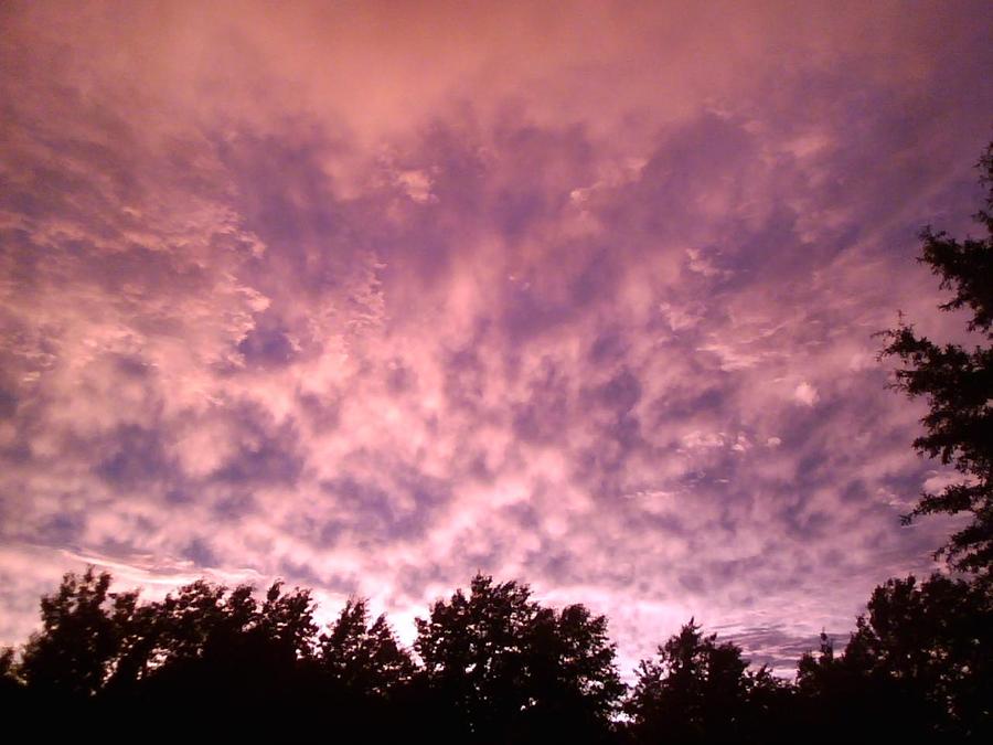Pink Dusk Photograph by Simply Summery - Fine Art America