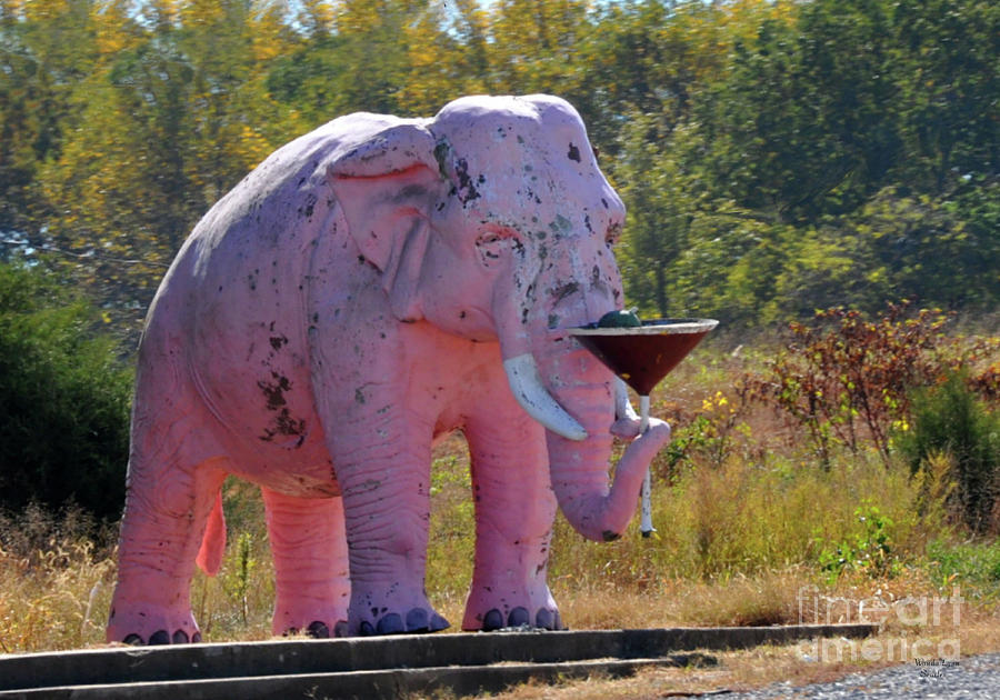 Pink Elephant Photograph by Wanda-Lynn Searles